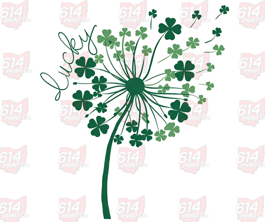 St Patrick's Day Dandelion