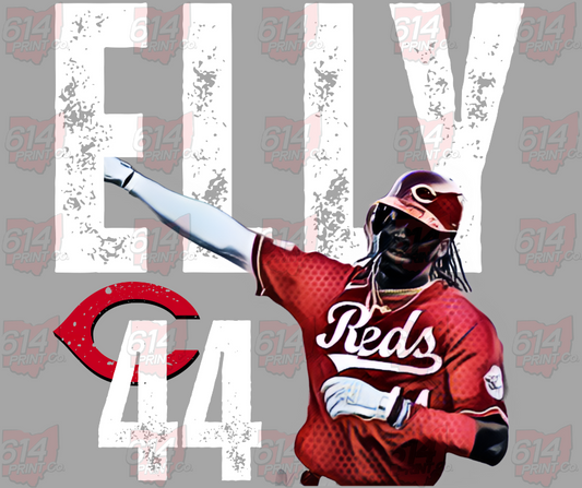 ELLY 44 REDS WATERCOLOR